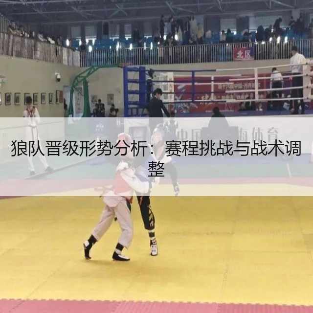 狼队晋级形势分析：赛程挑战与战术调整