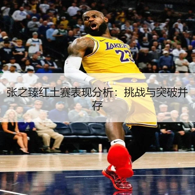 张之臻红土赛表现分析：挑战与突破并存
